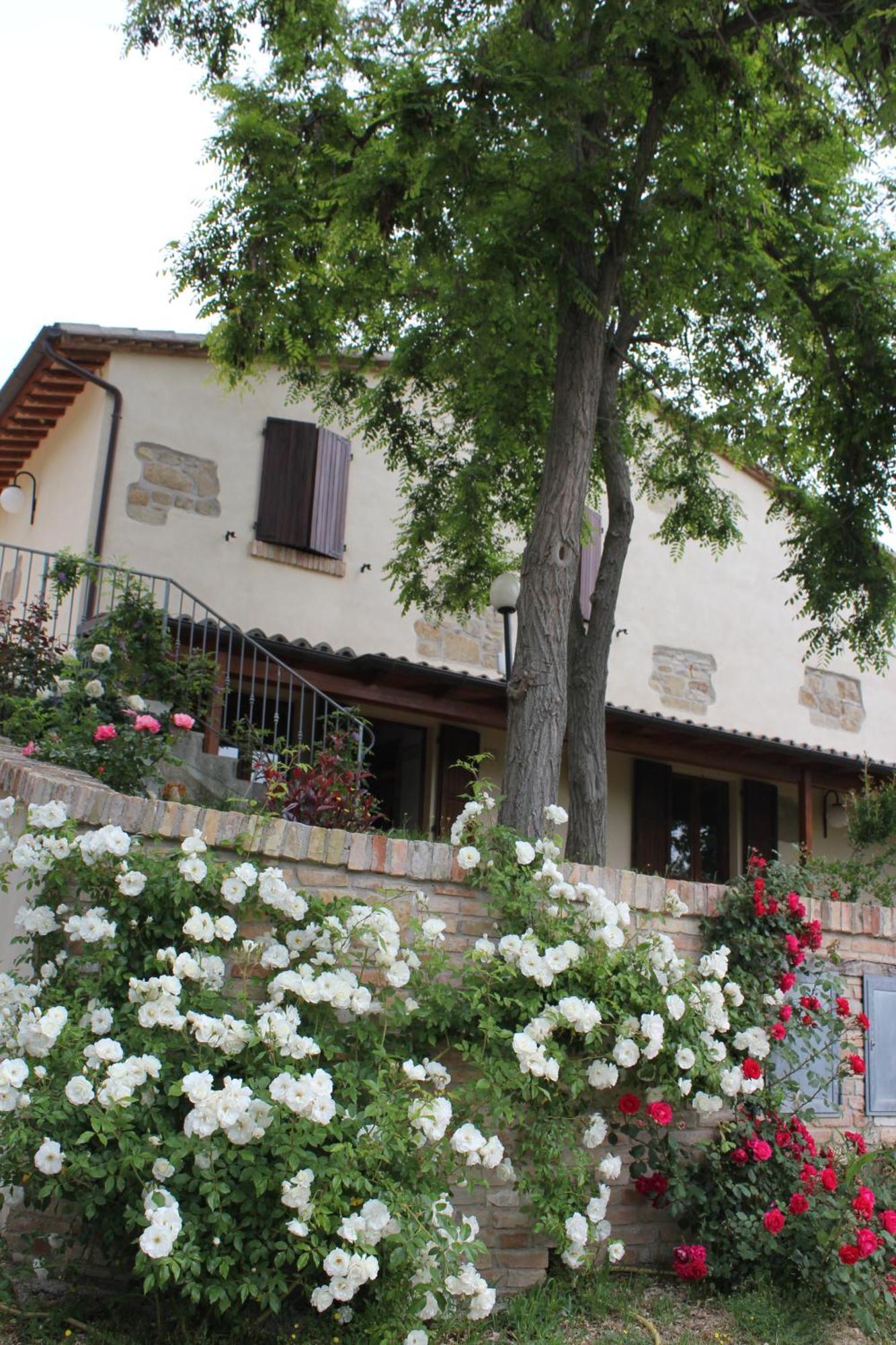 Agriturismo La Valle Del Vento Urbino Extérieur photo